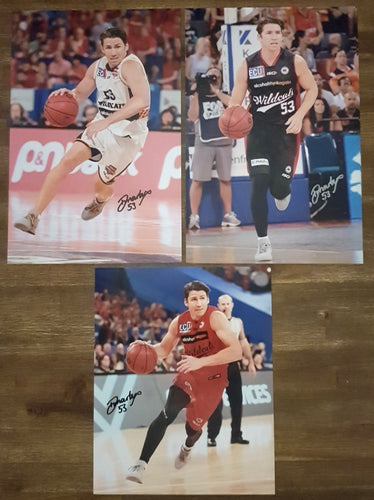 DAMIAN MARTIN SIGNED WILDCATS 8X12
