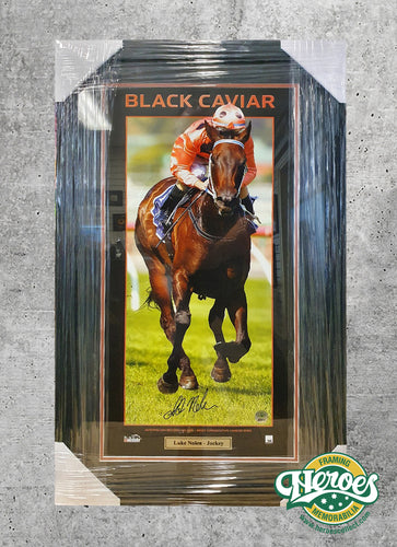 Black Caviar print signed by jockey Luke Nolan - Heroes Framing & Memorabilia