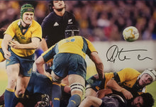 Load image into Gallery viewer, Matt Giteau personally signed photos 12x18&quot; COA - Heroes Framing &amp; Memorabilia
