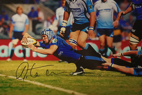 Matt Giteau personally signed photos 12x18
