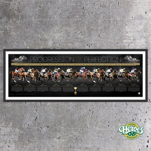 Progression of Perfection - Heroes Framing & Memorabilia